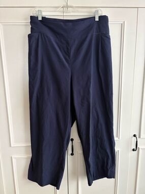 Cato Navy ankle Pants